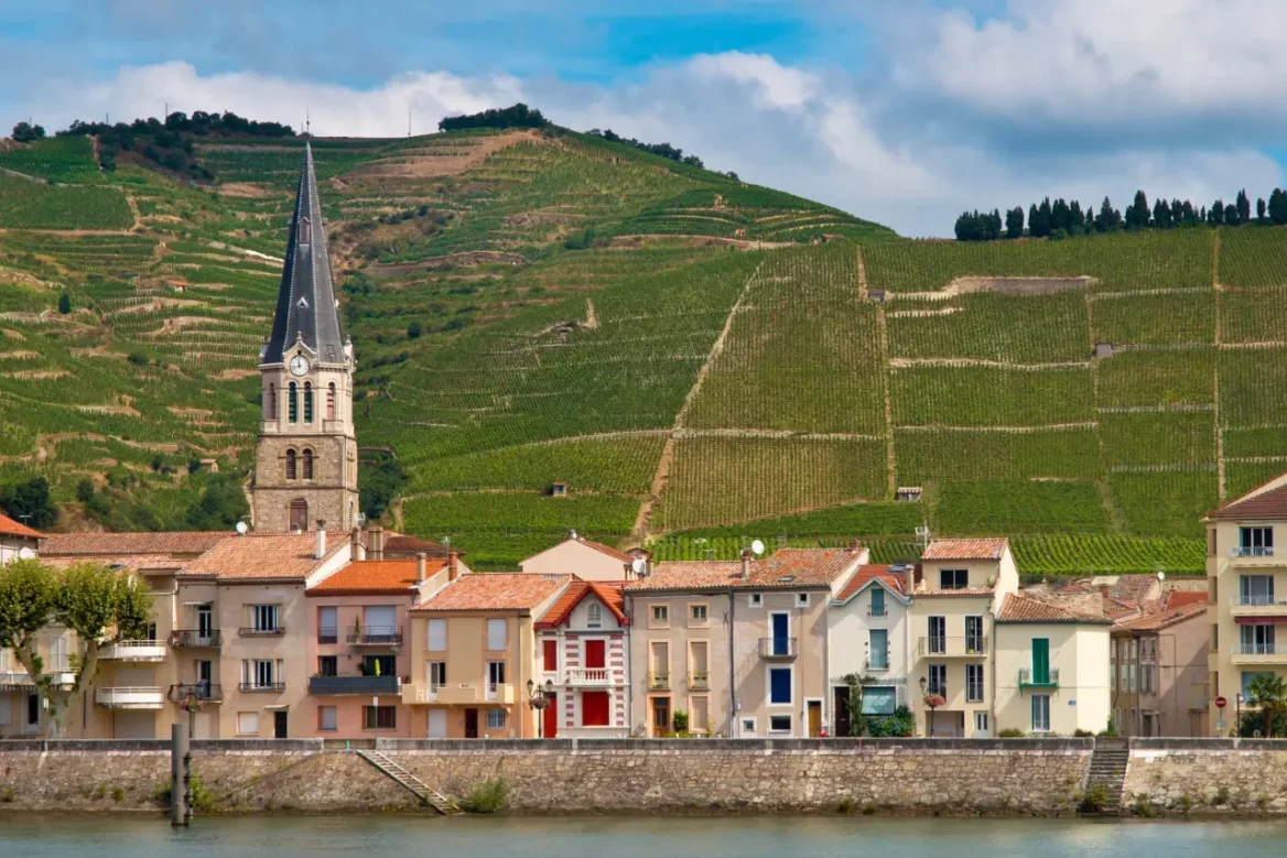 Cote du Rhone